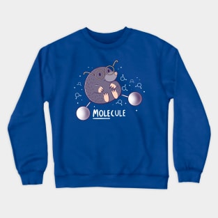 Mole-cule Crewneck Sweatshirt